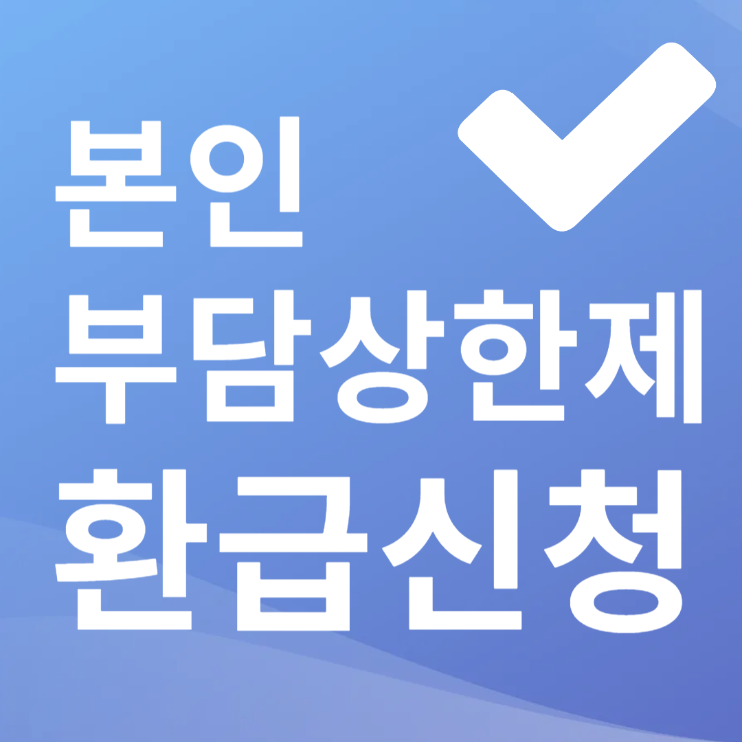 본인부담상한제 환급