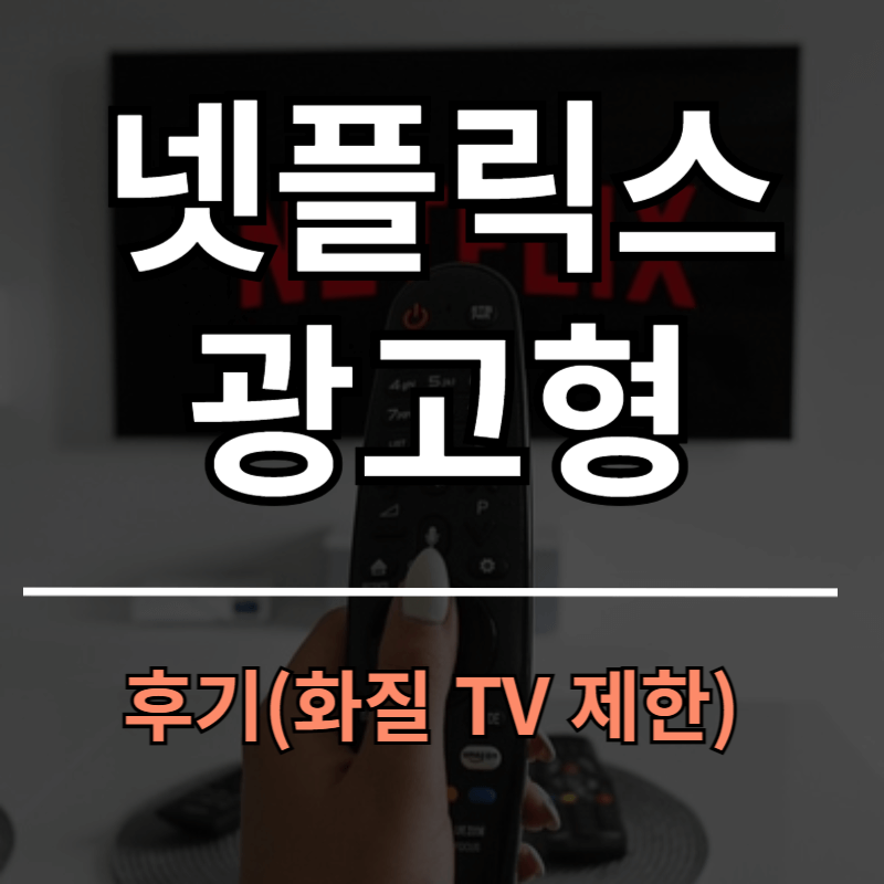 넷플릭스 광고형 스탠다드 후기ㅣTV, 화질, 제한 여부
