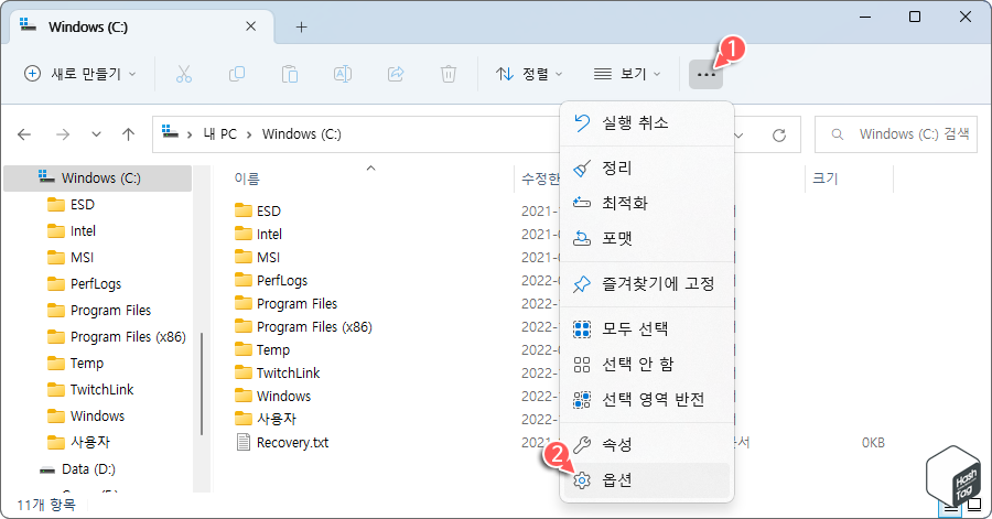 파일 탐색기 > 자세히 보기 > 옵션