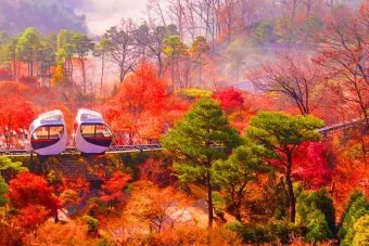 화담숲 예약하기 화담채 예약으로 절차정리_19