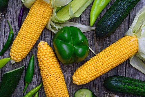 옥수수 가루 vs 전분, 차이점