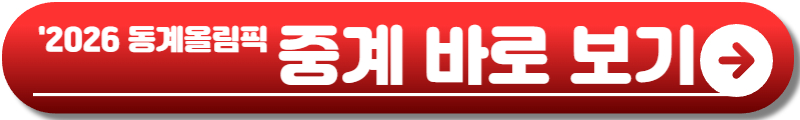 2026 동계올림픽