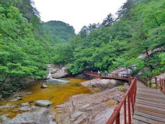 오대산 국립공원