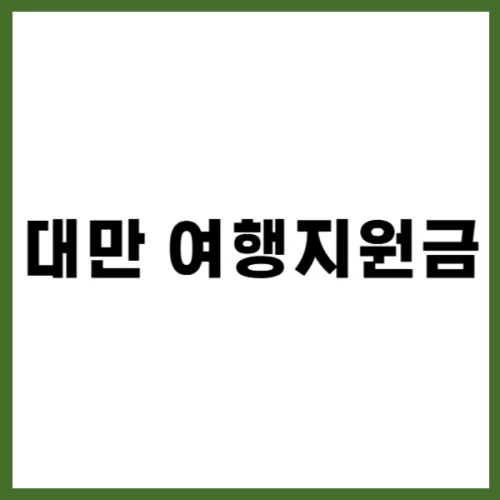 대만 여행지원금