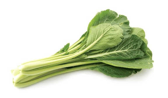 독소배출해주는 갓