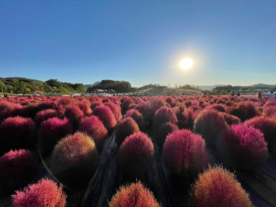 경기도 북부에 위치한 연천, 파주, 양주로 당일치기 주말산책 겸 여행