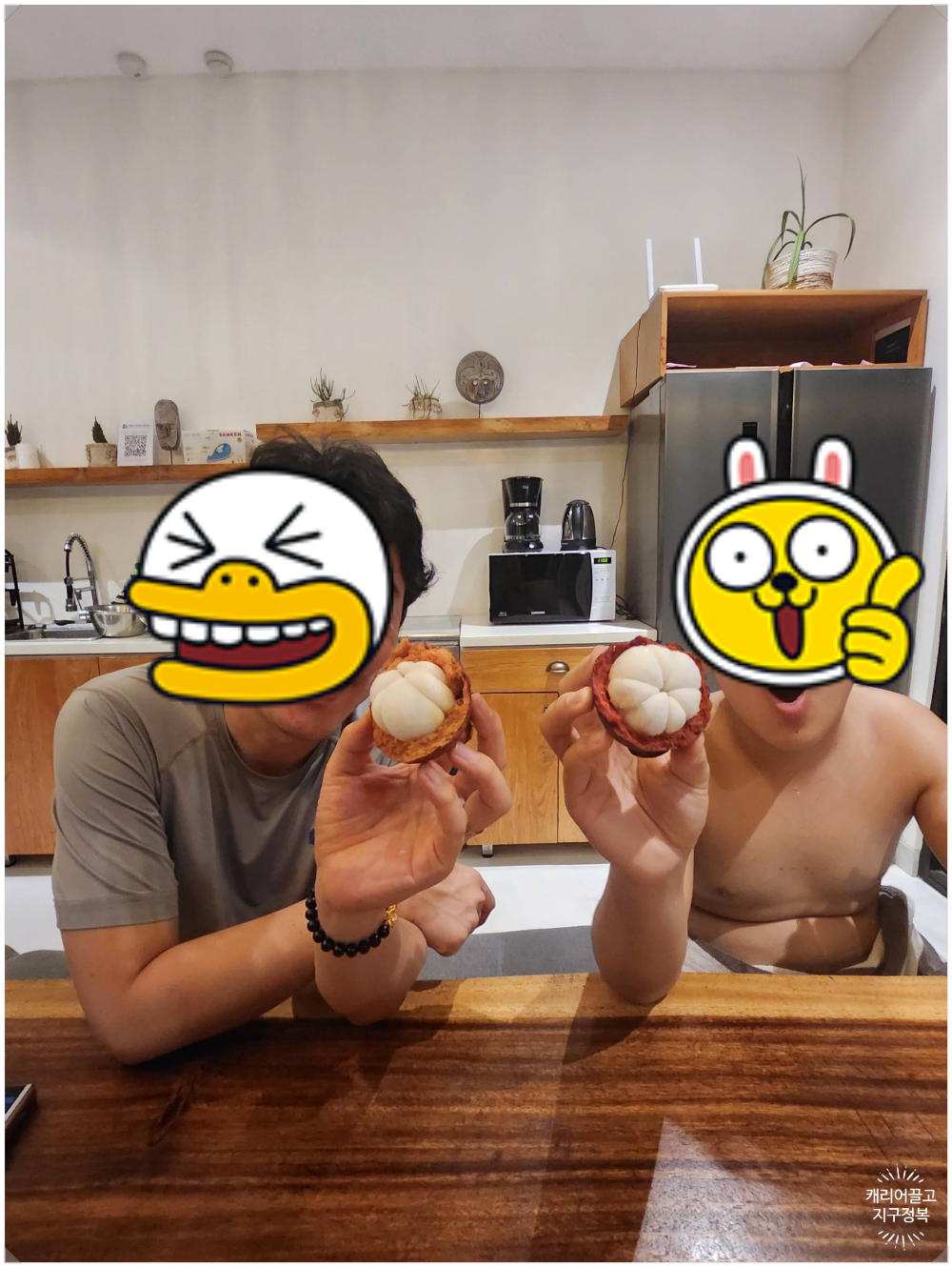 망고스틴 최고