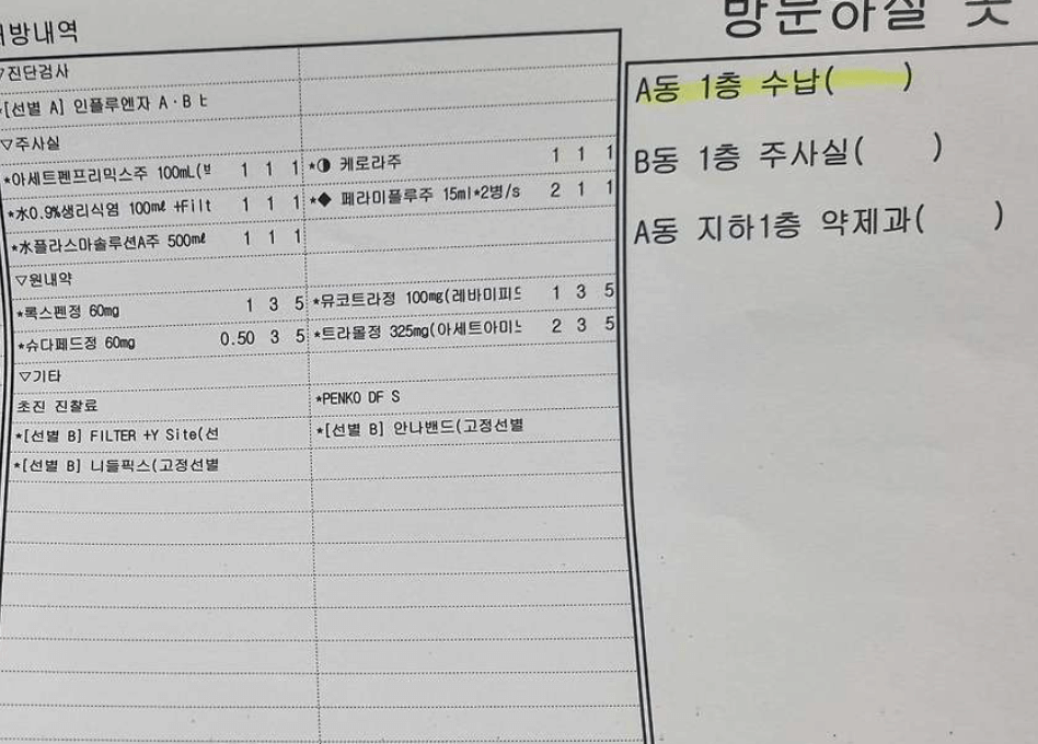b형 독감