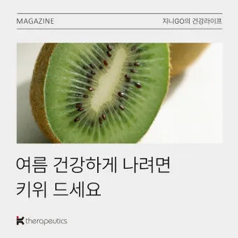 키위 효능과 부작용 비타민 풍부한 과일 정보_5