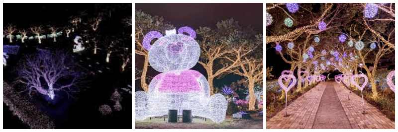 제주 허브동산 별빛놀이 사진 3개