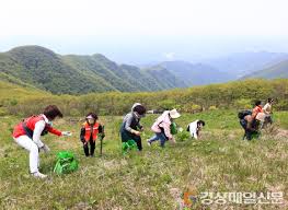 제 19회 영양 산나물 축제 기본일정과 특징 소개
