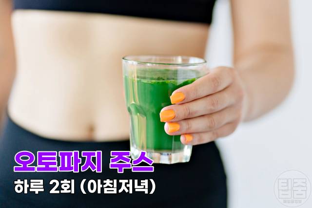 오토파지 단식 다이어트 오토파지주스 먹는법