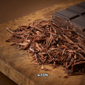 철분 많은 음식