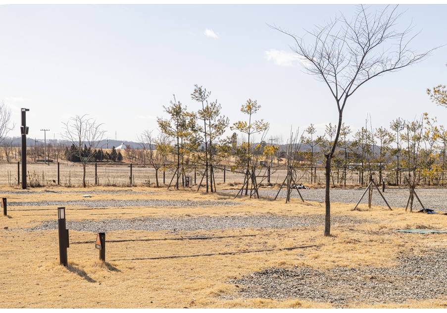 평화누리캠핑장