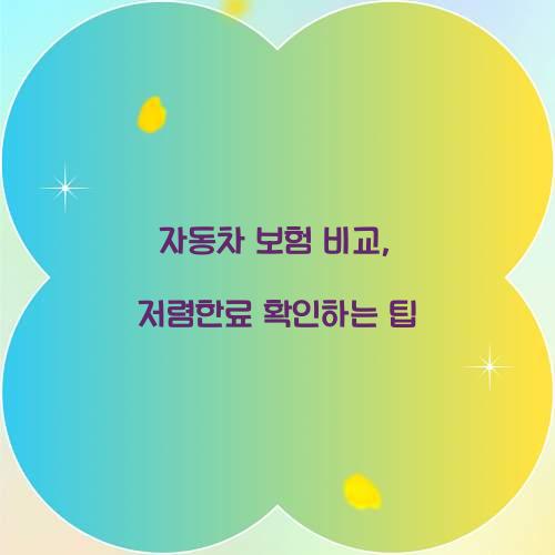 자동차 보험 비교