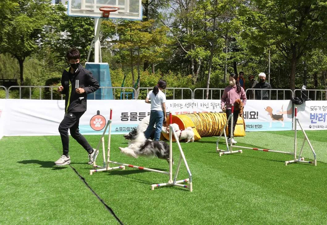 강남구청 반려동물 행사 설채현 수의사 초청 강연 & 순회 놀이터 위치 시간 신청 방법