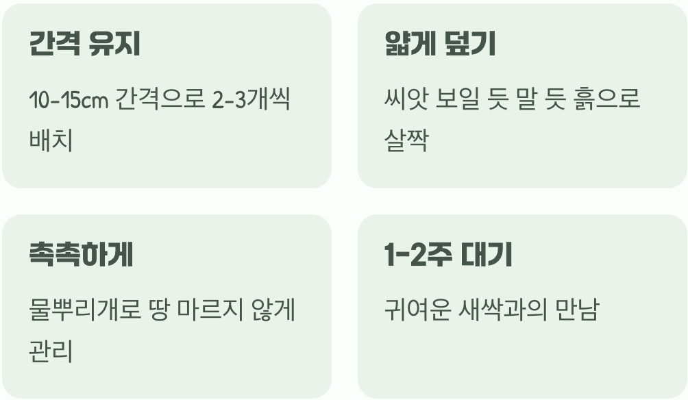 씨앗 심기, 아주 쉬워요