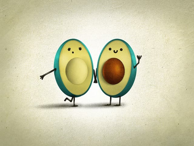 제조일자가 최근인 아보카도 오일