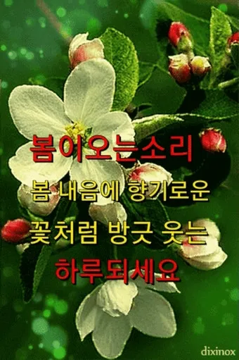 아침 인사 문자 날씨 변화에 맞춘 안부 문장 하루를 여는 표현_26