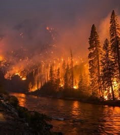 산에-불이나서-능성이로-시뻘겋게-번지는-모습