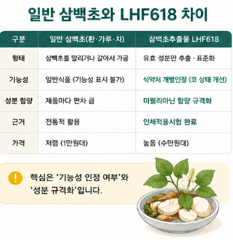 삼백초lhf618-효능-뜻-추출방법-차이-가격-간-효과-고르는방법