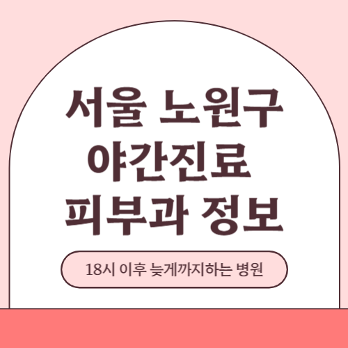 서울 노원구 야간진료 피부과 병원 (18시 이후 늦게까지하는 병원)