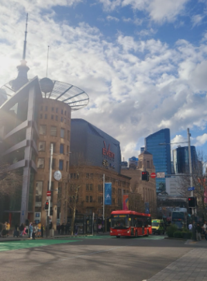 뉴질랜드 신혼여행