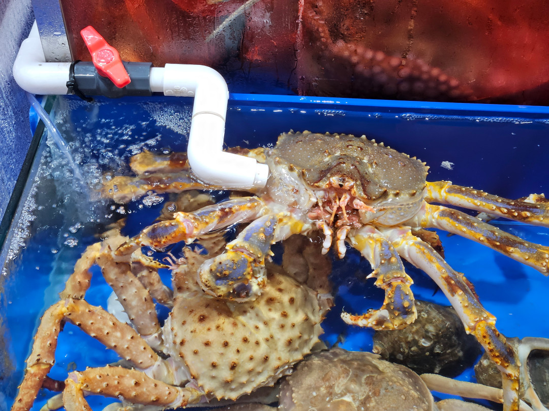 노량진 수산 시장 게