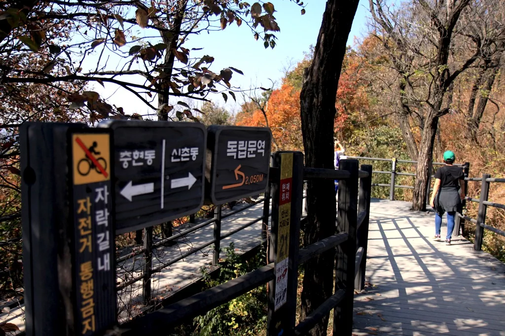 서대문 안산자락길 순환 코스의 후반부, 평탄하게 이어지는 내리막길.