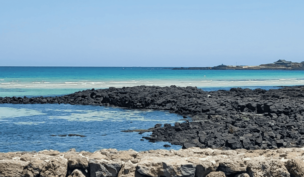 제주_땡처리_항공권_14