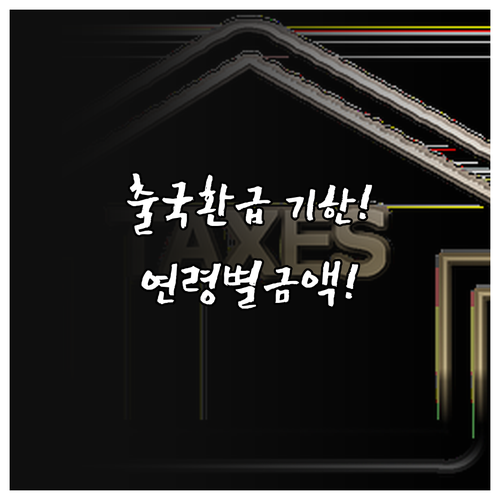 출국납부금 환급 기한 및 연령별 금정..