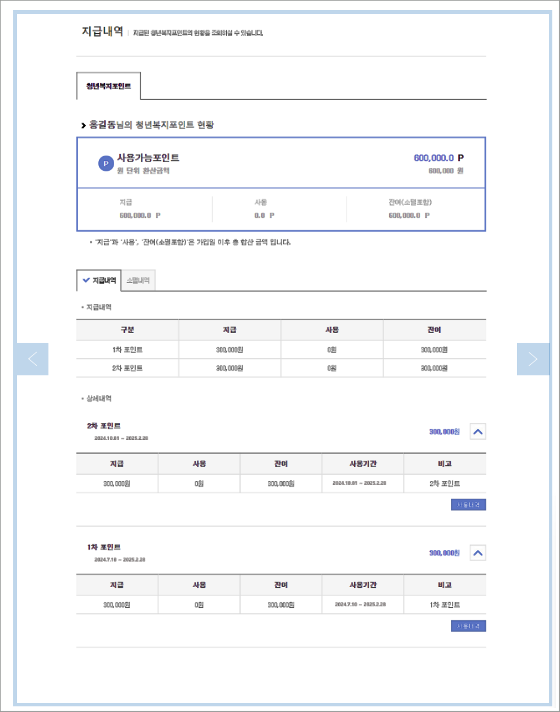 경기도 청년 복지 포인트