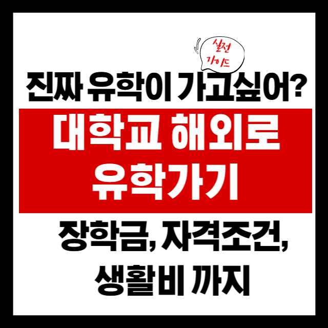 ✈️ 한국 나이 17~21세, 진짜 유학 가고 싶다면?