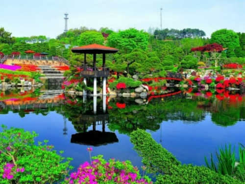 세종 베어트리파크 오색연못 사진