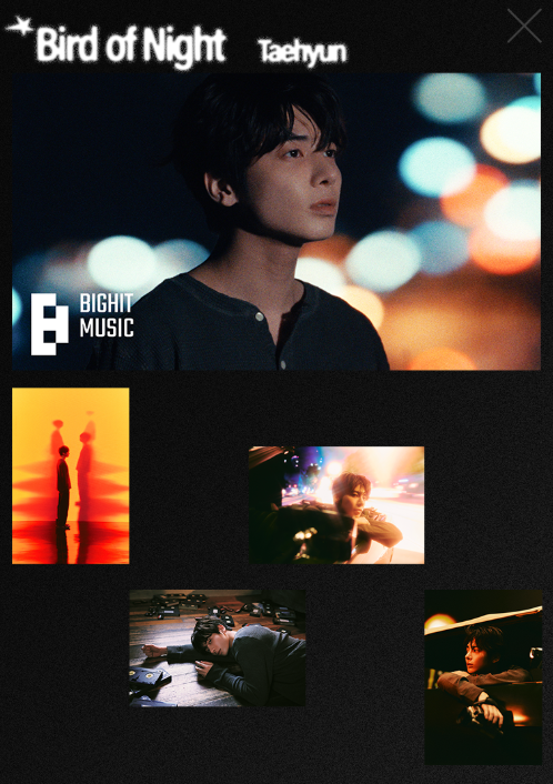 버드 오브 나이트