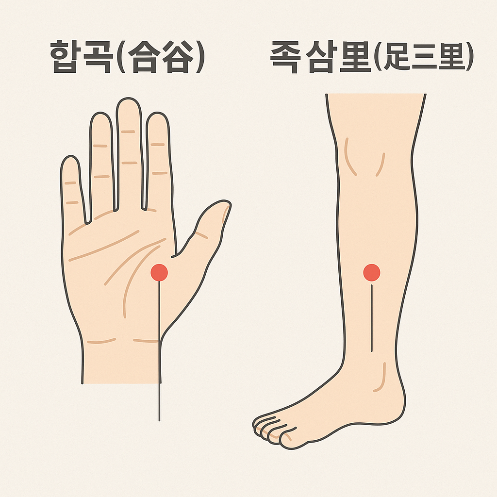 합곡 족삼리 혈자리