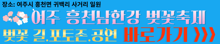 여주 흥천남한강 벚꽃축제 정보 바로가기