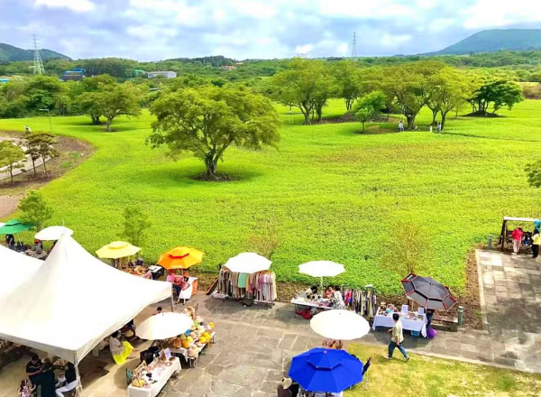 제주 와흘 메밀 문화제