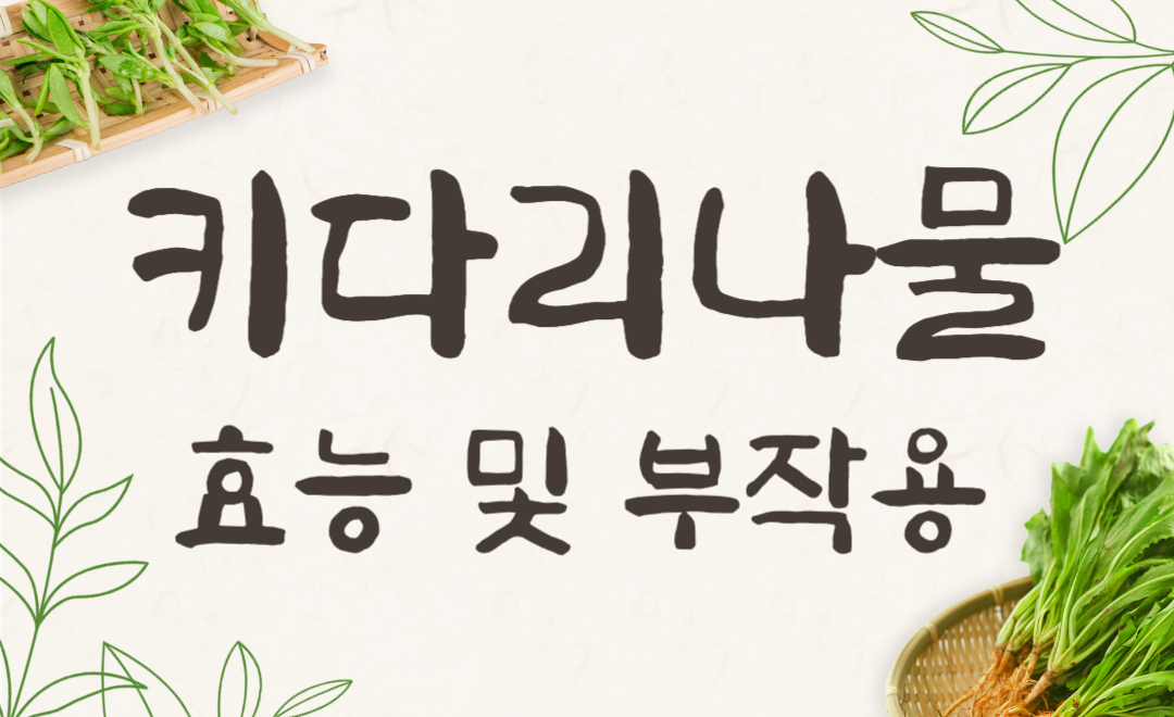 키다리나물 효능 부작용 먹는법까지 완벽 정리