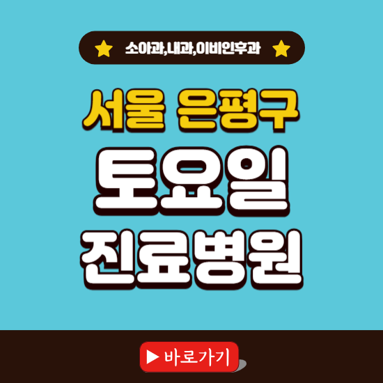 서울 은평구 토요일 진료 병원 찾기 ❘ 주말 문여는 소아과, 내과, 이비인후과 리스트