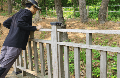 간암 9.12cm/당화혈색소 9.4 &rarr; 5.6 극복기 4편(10개월 만에 당화혈색소 5.6% 달성 비법)