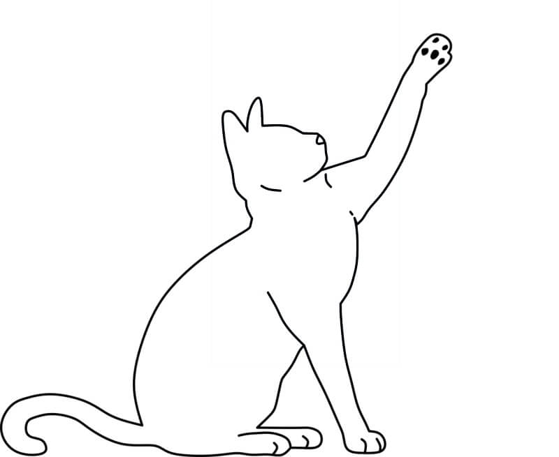 앞다리-들고있는-고양이