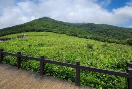 곰배령 예약 및 등산코스 안내