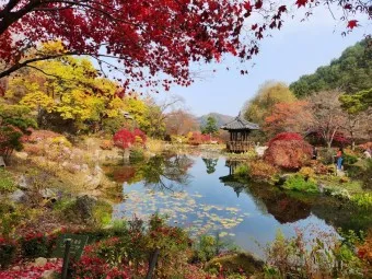 아침고요수목원 입장료 근처 맛집 펜션 추천_11