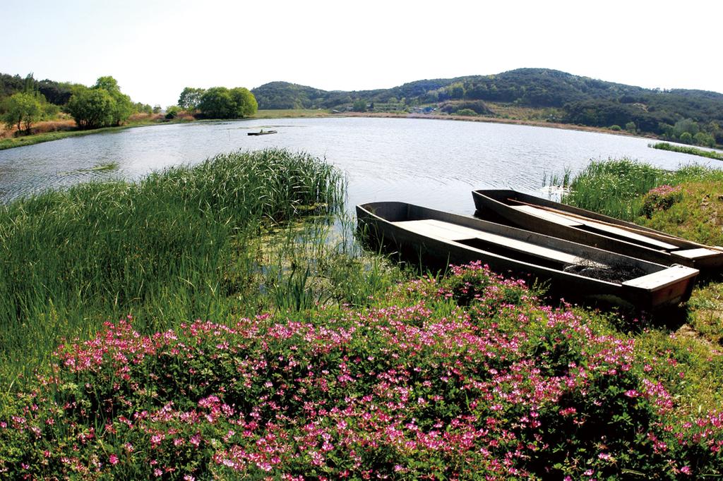 우포늪 전경 사진