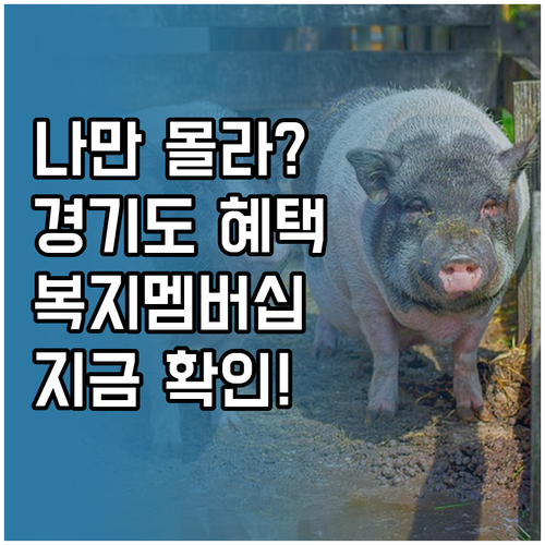 나만 모르는 경기도 복지 혜택 복지멤..