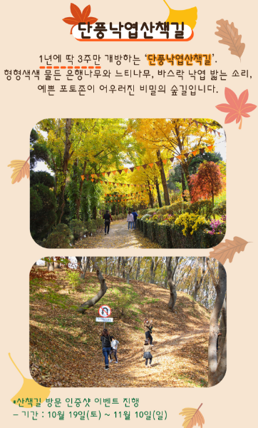 단풍축제 명소