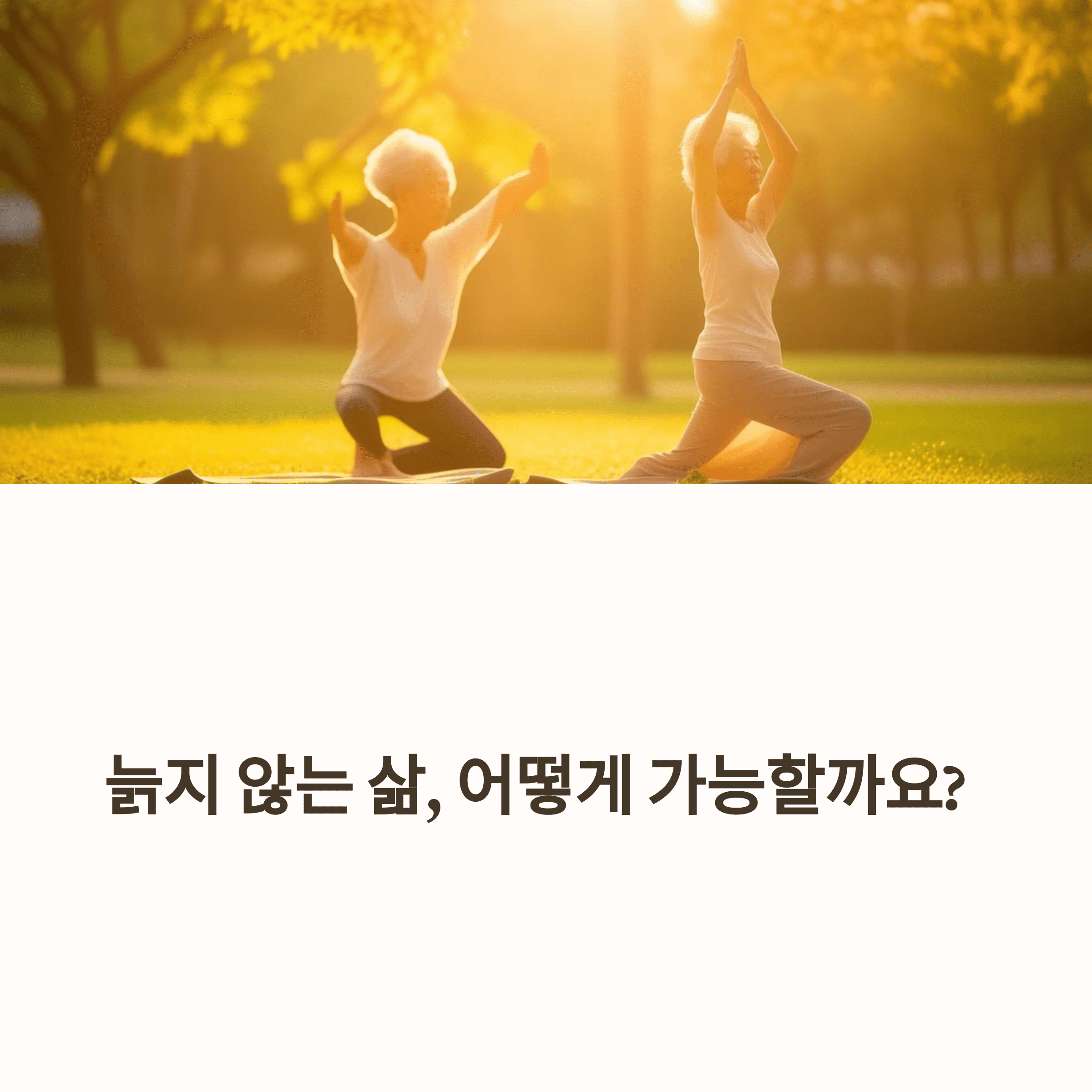 건강 의료