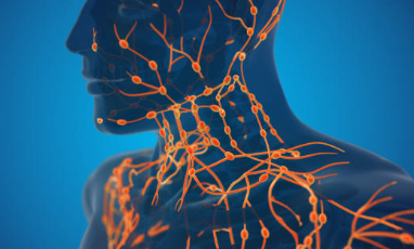 림프 순환 장애