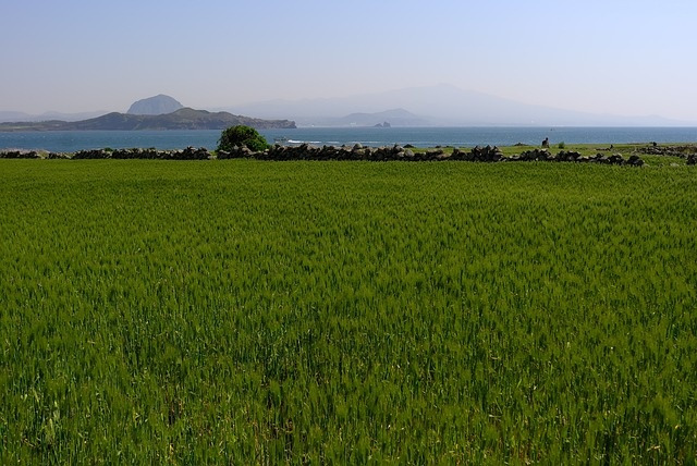 공익직불금 계산하기